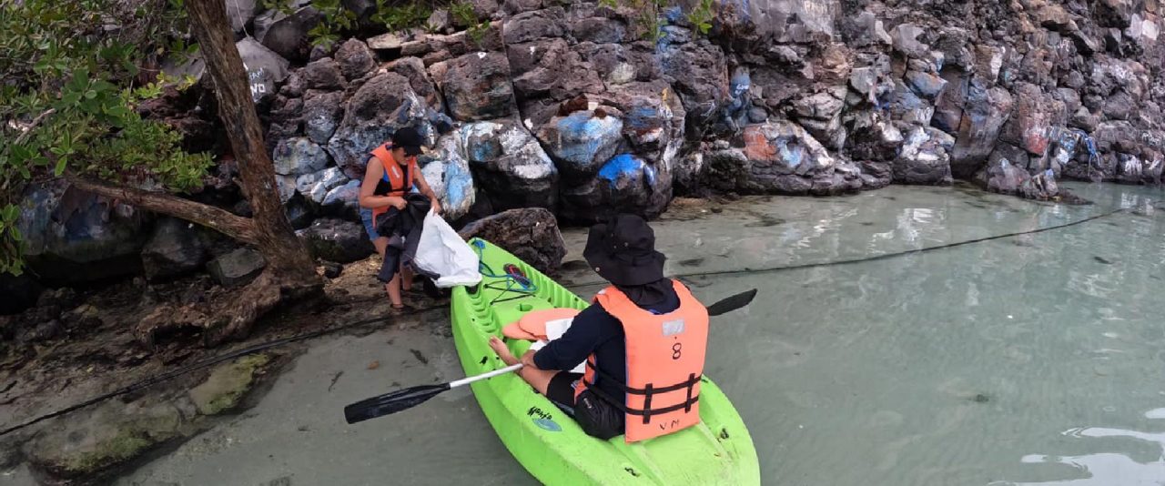 Beach Cleaning