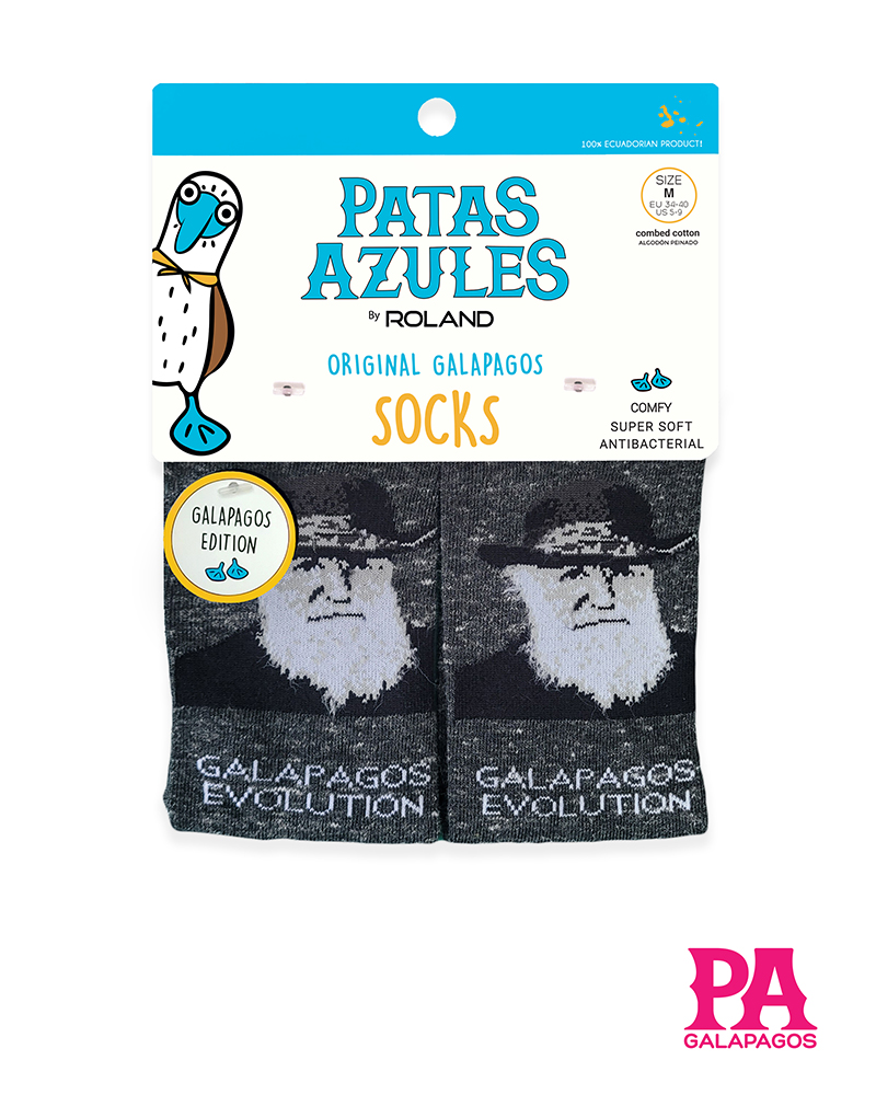 Charles Darwin Fondo Gris Oscuro - Image 2