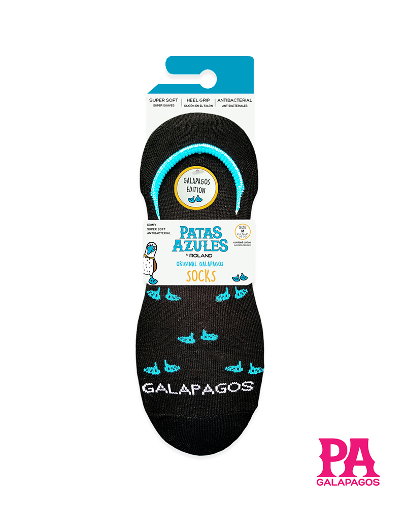 Patitas Azules Repetidas - Image 2