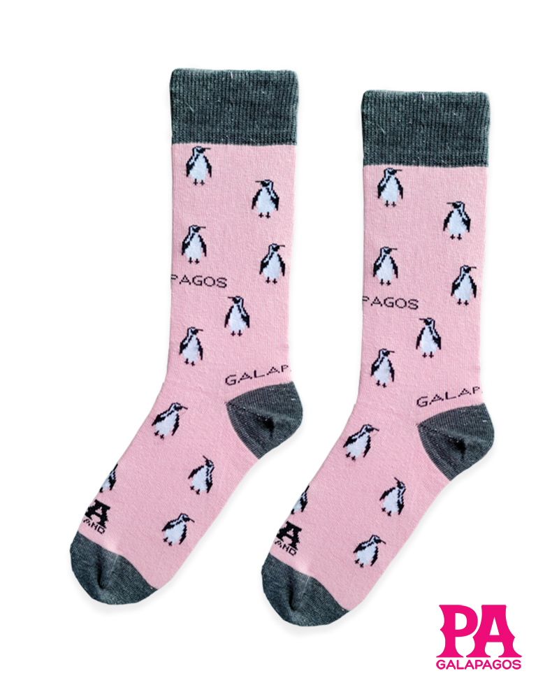 Pingüinos Fondo Rosado Con Brillo