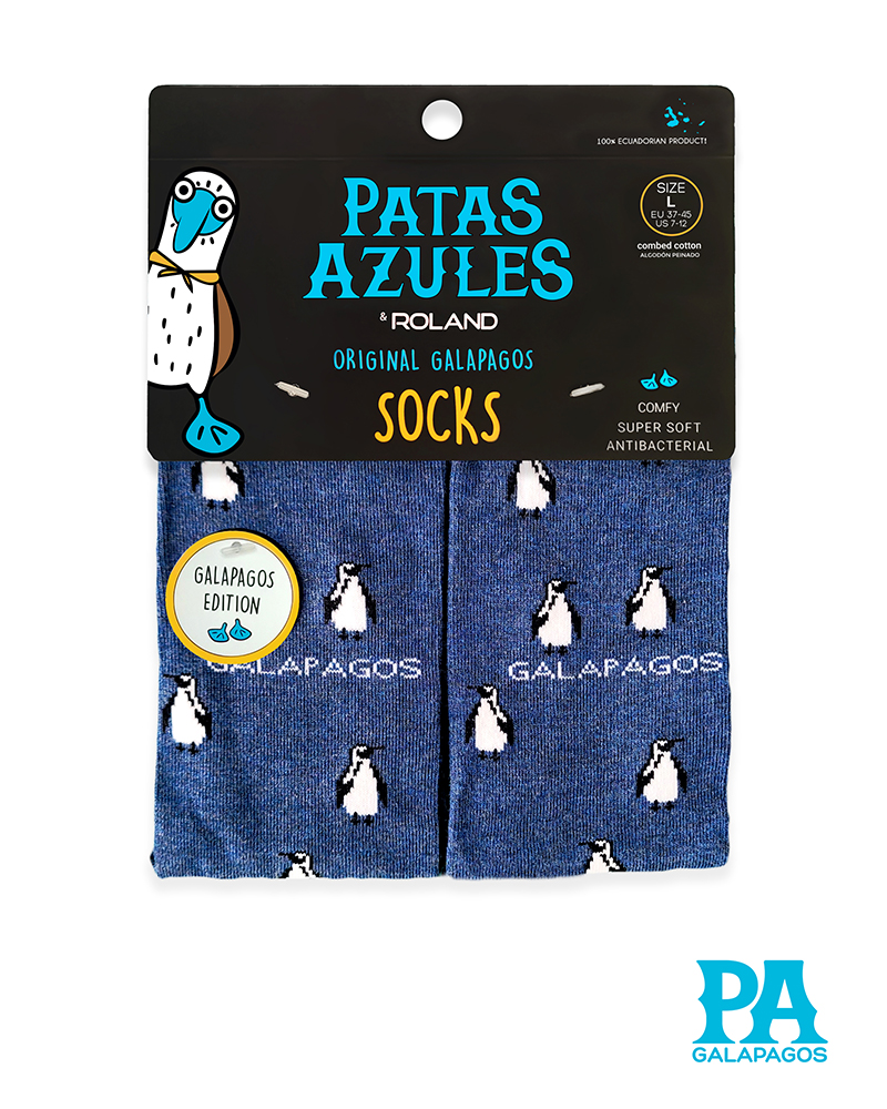 Pingüinos Fondo Azul - Image 2