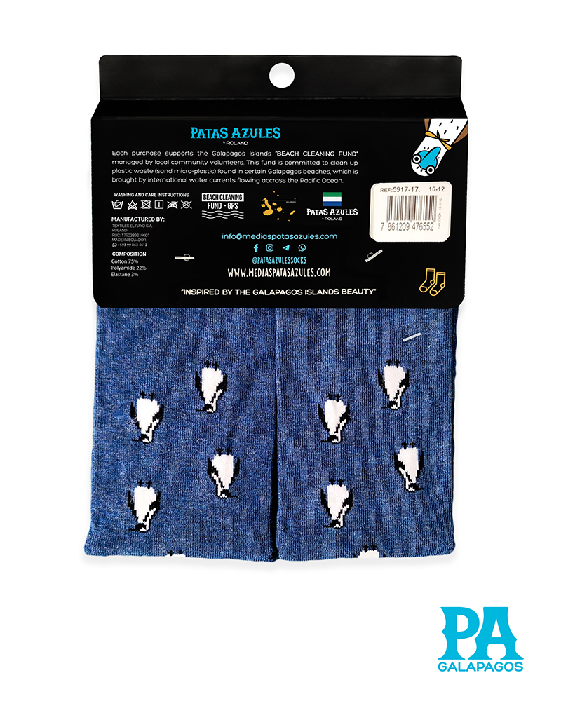 Pingüinos Fondo Azul - Image 3