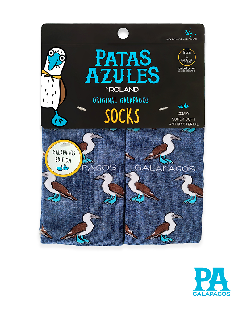 Piqueros Patas Azules Fondo Azul Jaspeado - Image 2