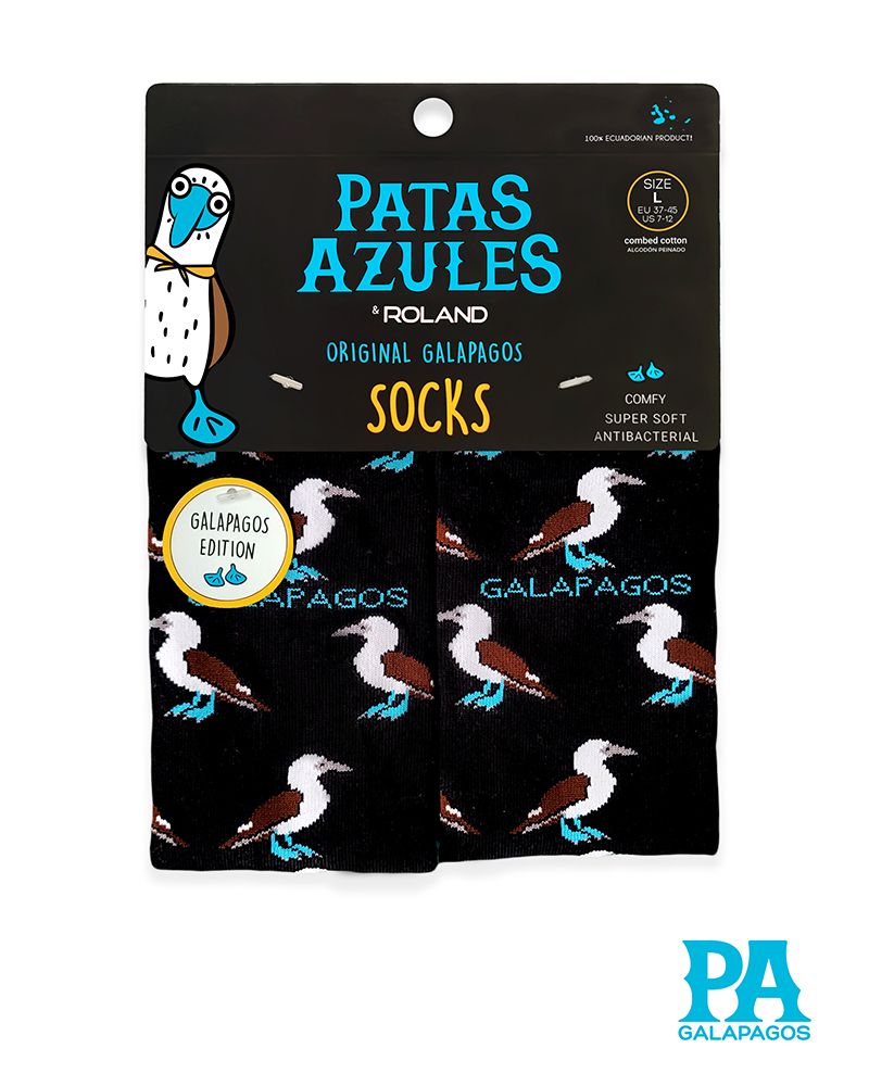Piqueros Patas Azules Fondo Negro - Image 2