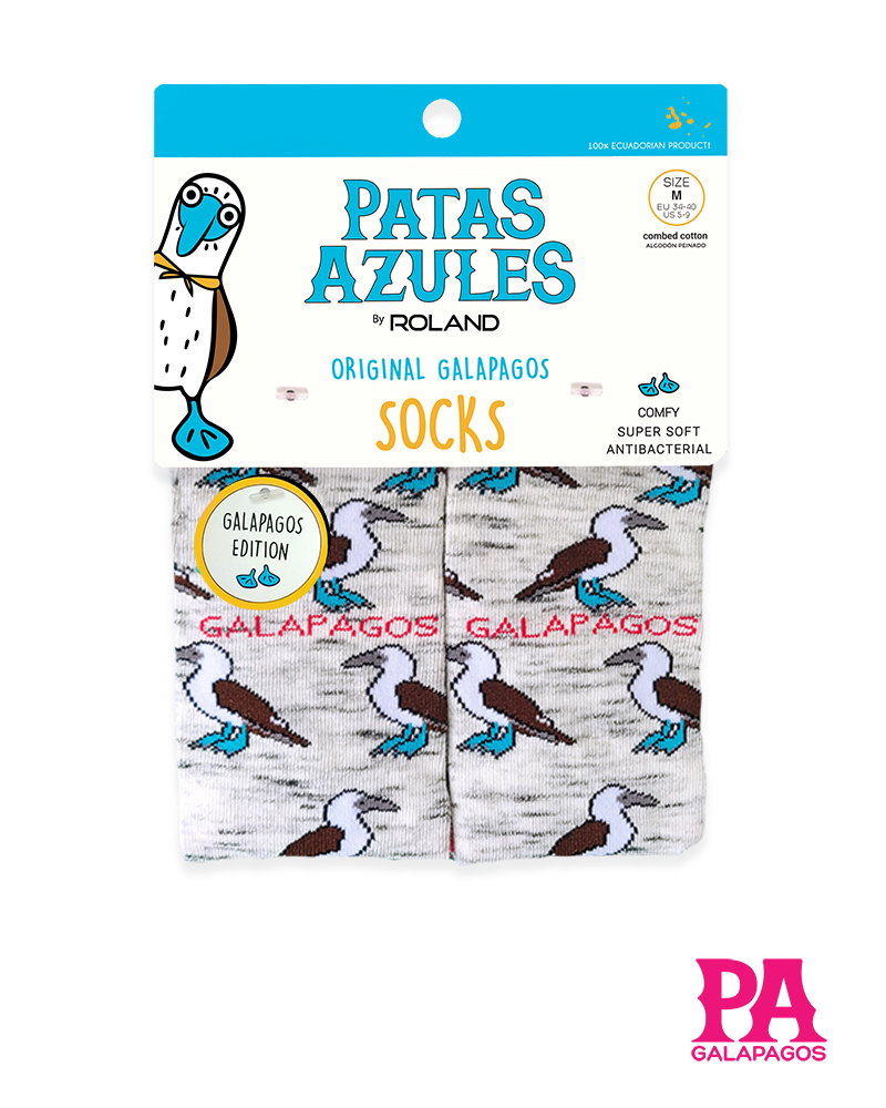 Piqueros Patas Azules Fondo Blanco - Image 2