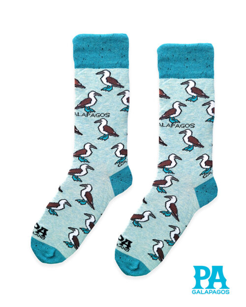 Piqueros Patas Azules Fondo Celeste