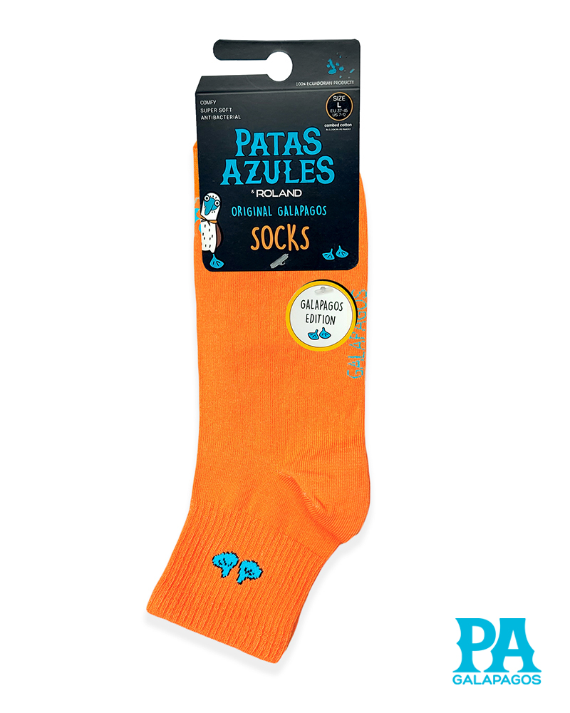Patitas Azules Naranja - Image 2