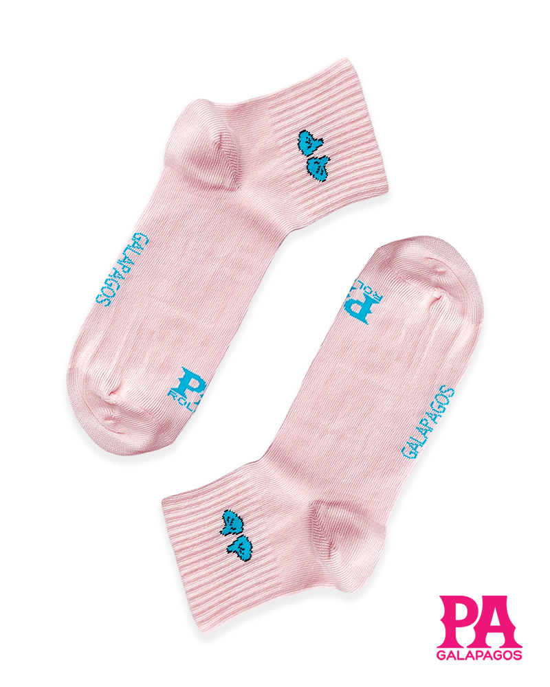 Patitas Azules Palo De Rosa - Image 3