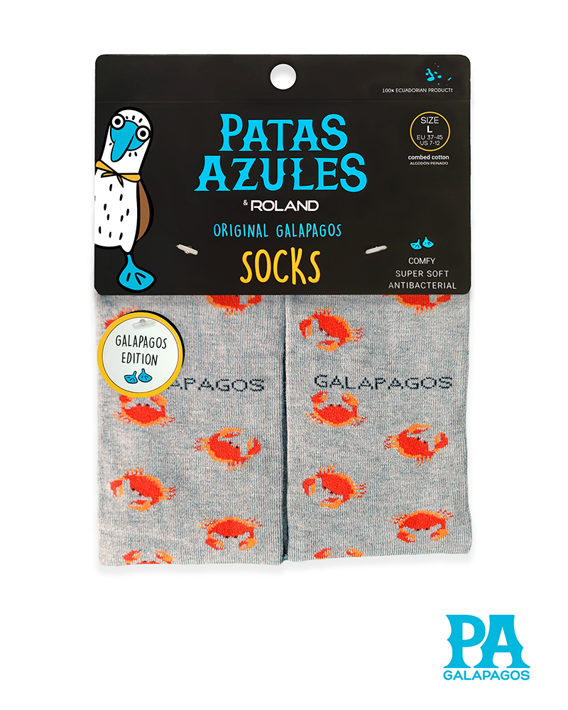 Zayapa Fondo Gris - Image 2