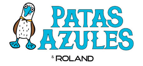 LOGO PRINCIPAL AND ROLAND RECTANGULAR