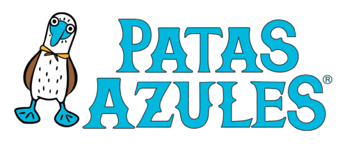 LOGO PRINCIPAL
