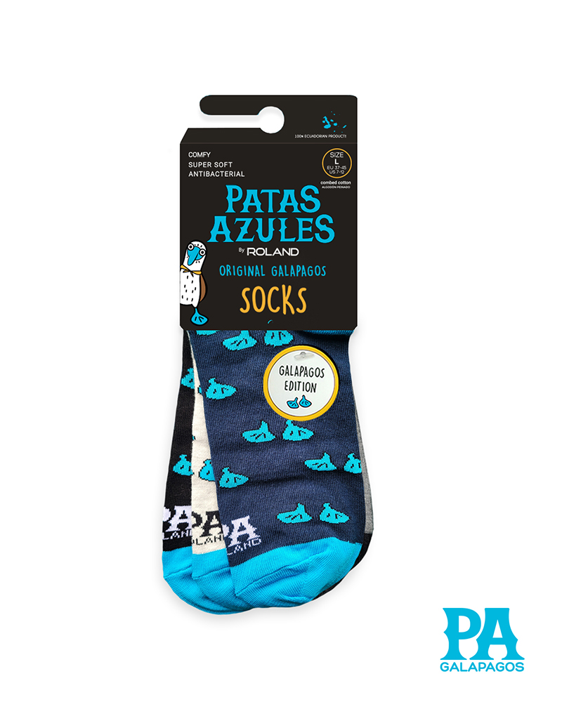 Patitas Azules Repetidas - Image 2