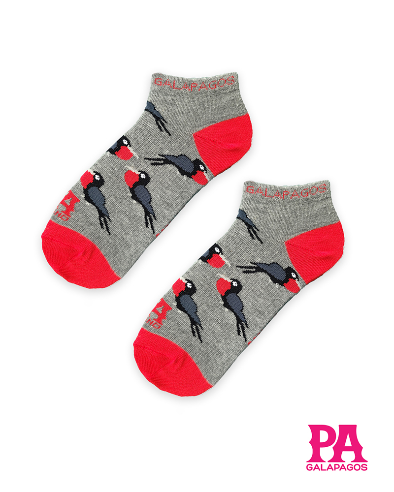 Fragatas Fondo Gris