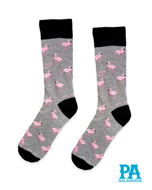 Flamingos rosa fondo gris medio