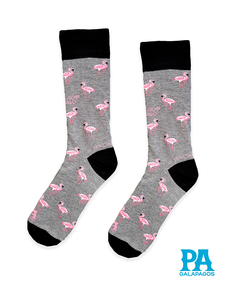Flamingos rosa fondo gris medio