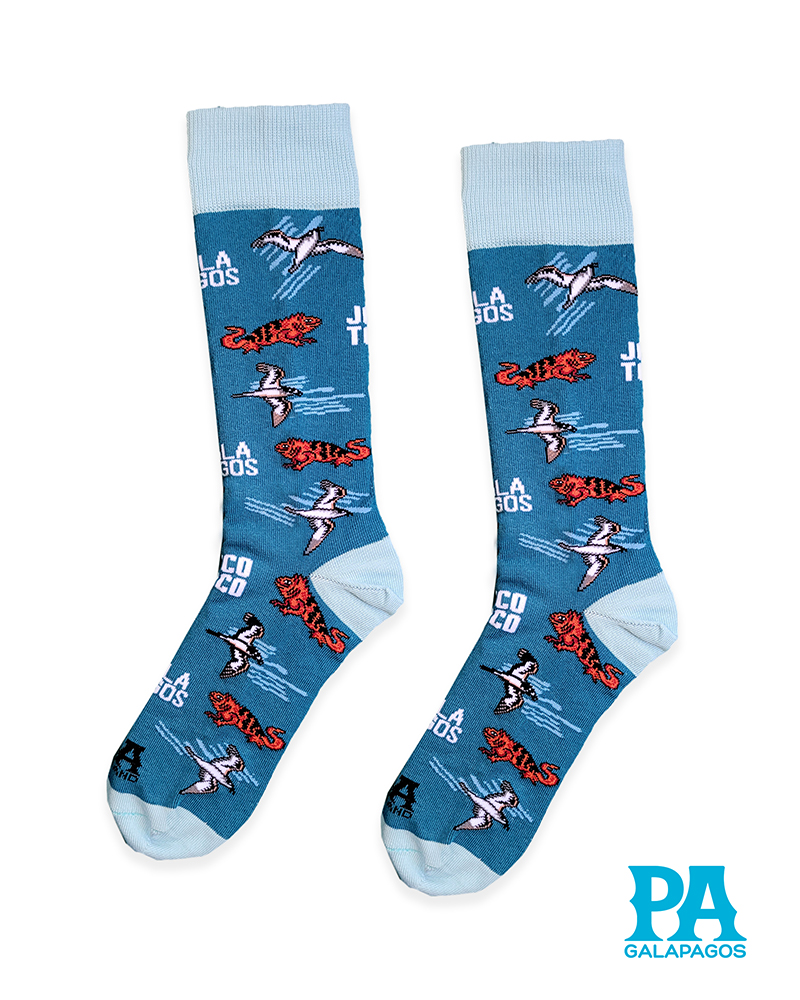Iguanas rojas fondo azul kamerino
