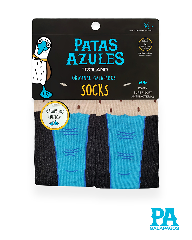 Patas piquero patas azules - Image 2