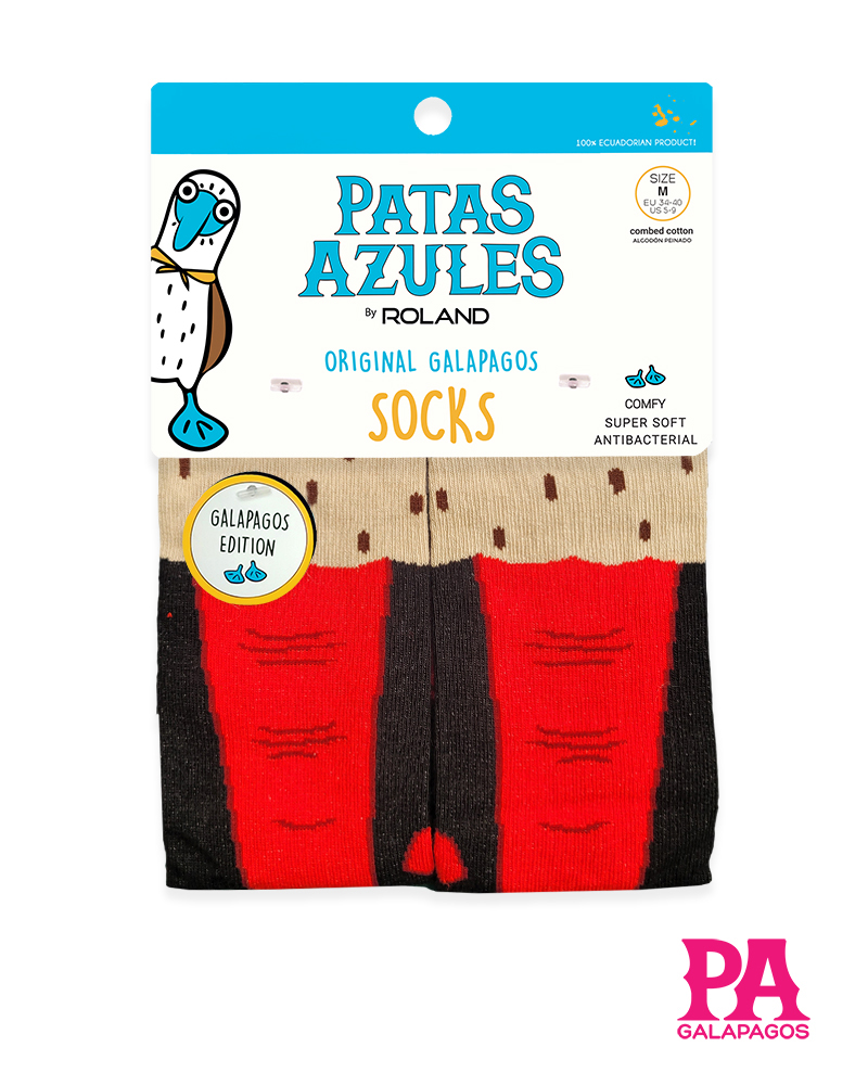 Patas piquero patas rojas - Image 2