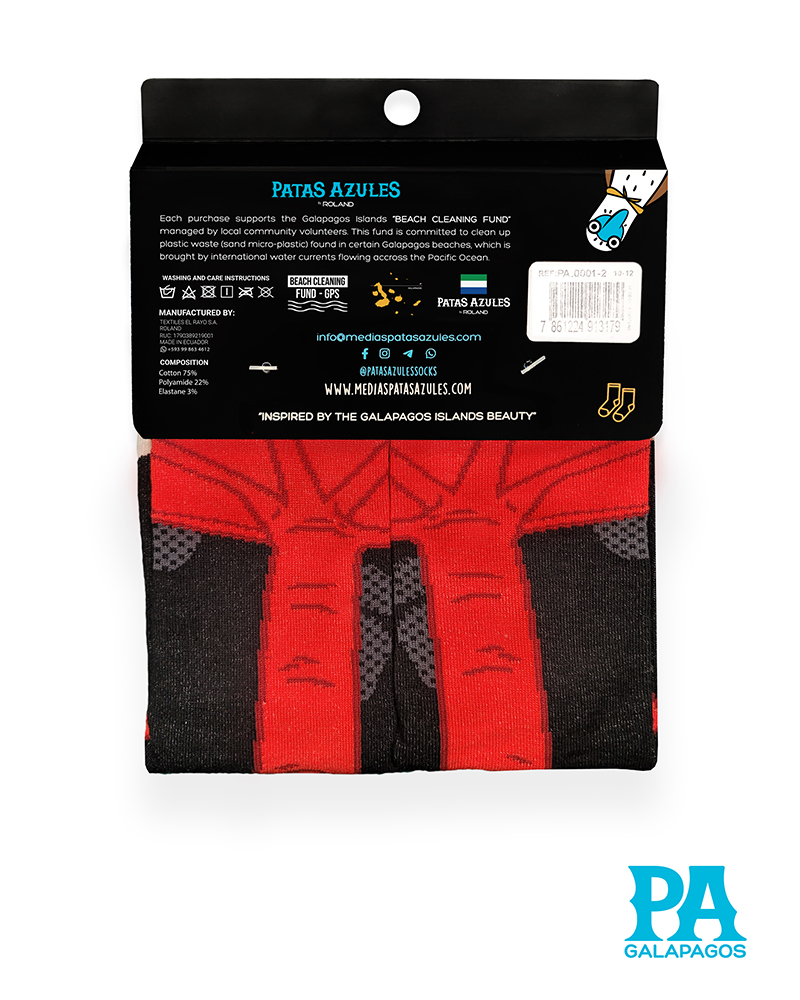 Patas piquero patas rojas - Image 3