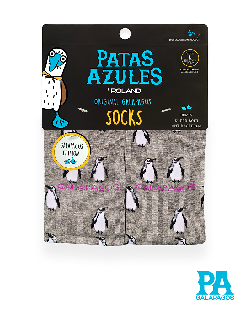 Pinguinos fondo gris - Image 2