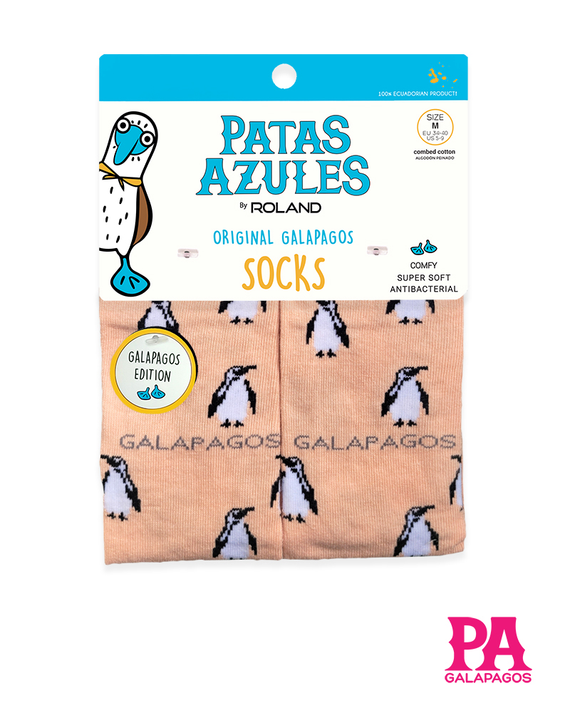 Pingüinos fondo melón - Image 2