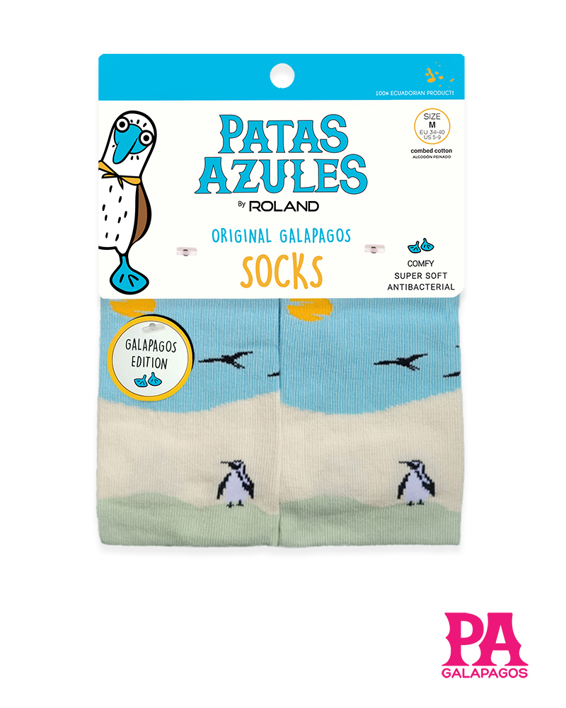 Pingüinos nadando fondo tres colores - Image 2
