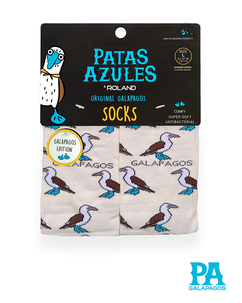 Piqueros patas azules fondo blanco hueso - Image 2