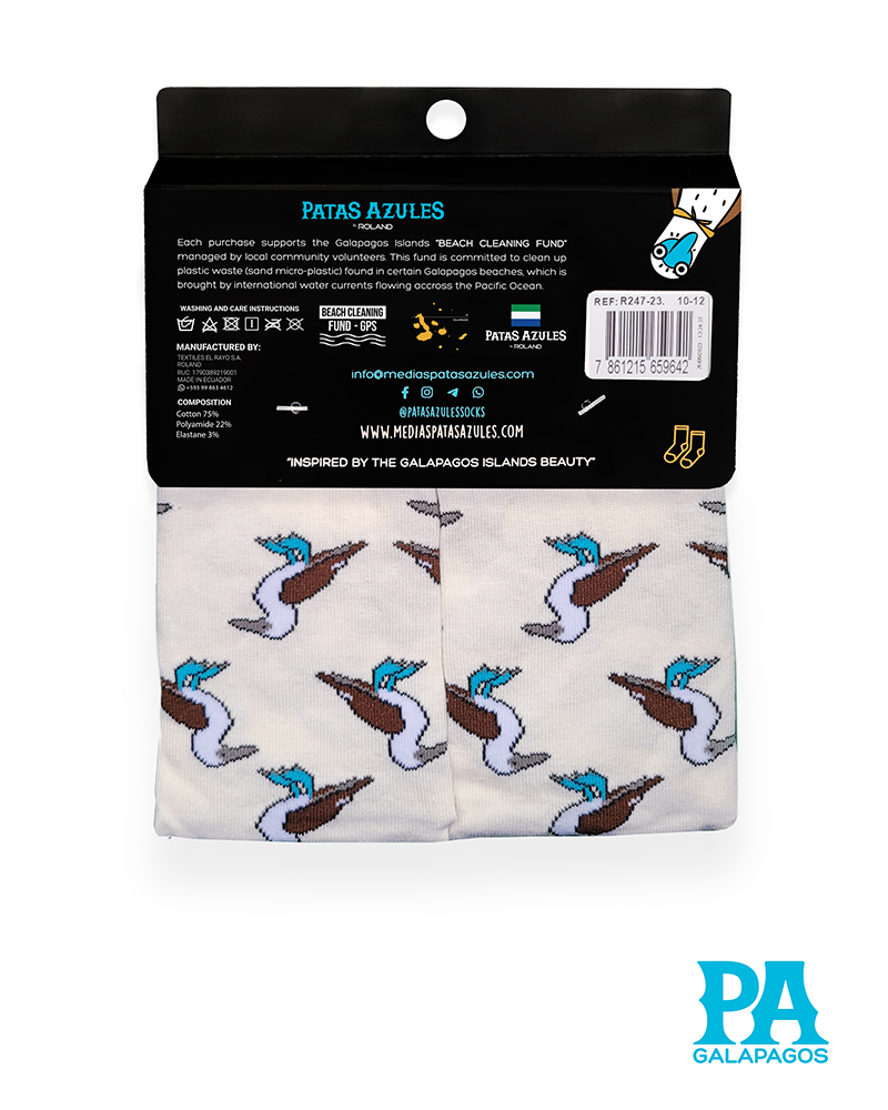 Piqueros patas azules fondo blanco hueso - Image 3