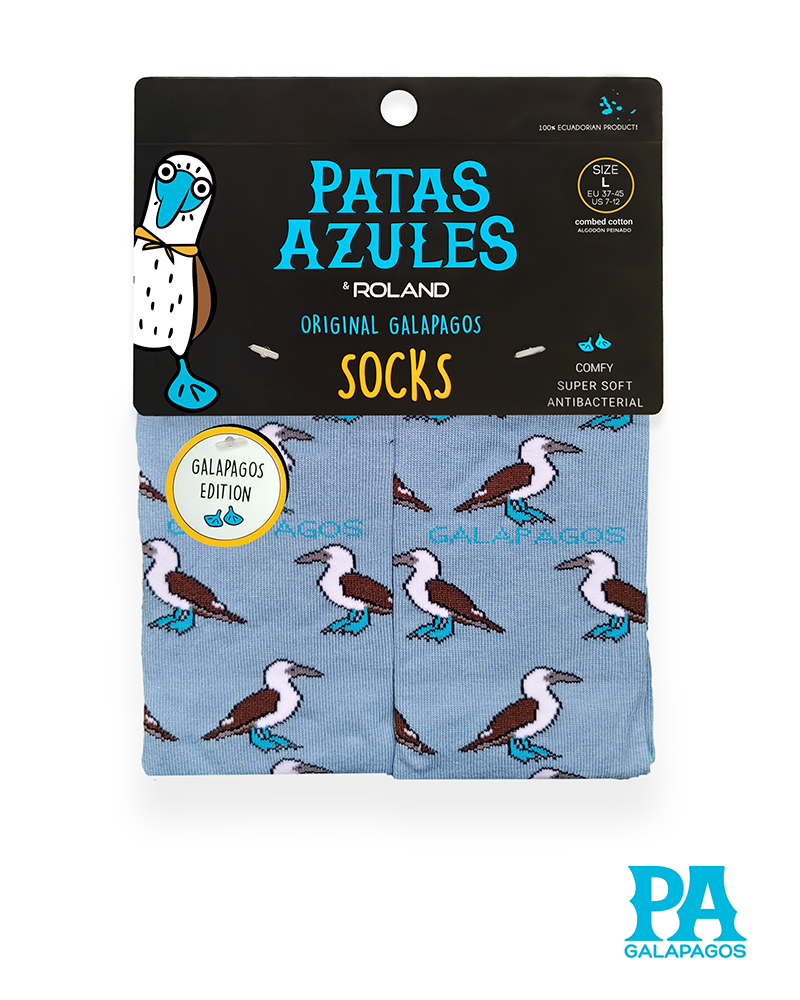 Piqueros patas azules fondo celeste bajo - Image 2