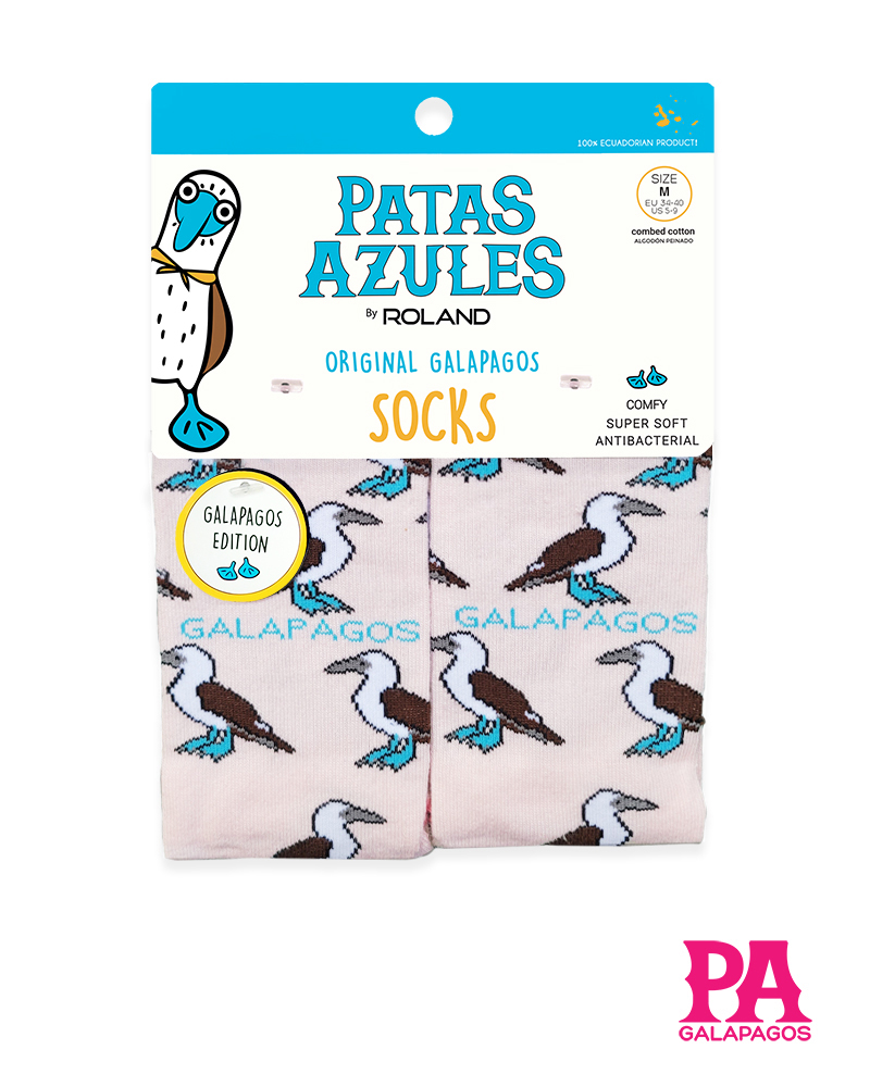 Piqueros patas azules fondo palo de rosa - Image 2