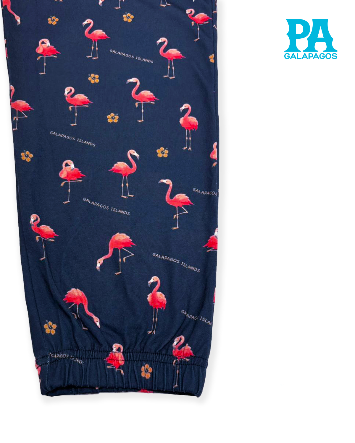 FLAMINGOS FONDO AZUL - Image 3
